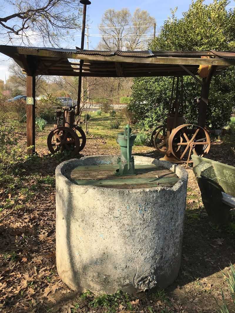 Wildlife Encounters You Will Not See Coming