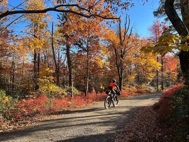 Carriage Roads Built For Exploring At Any Pace