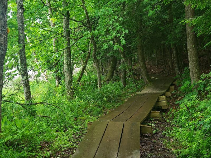 Trail System And Navigation Throughout The Preserve
