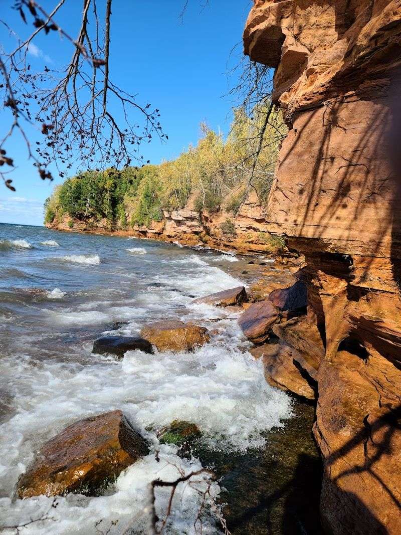 Wildlife Sightings That Add To The Experience