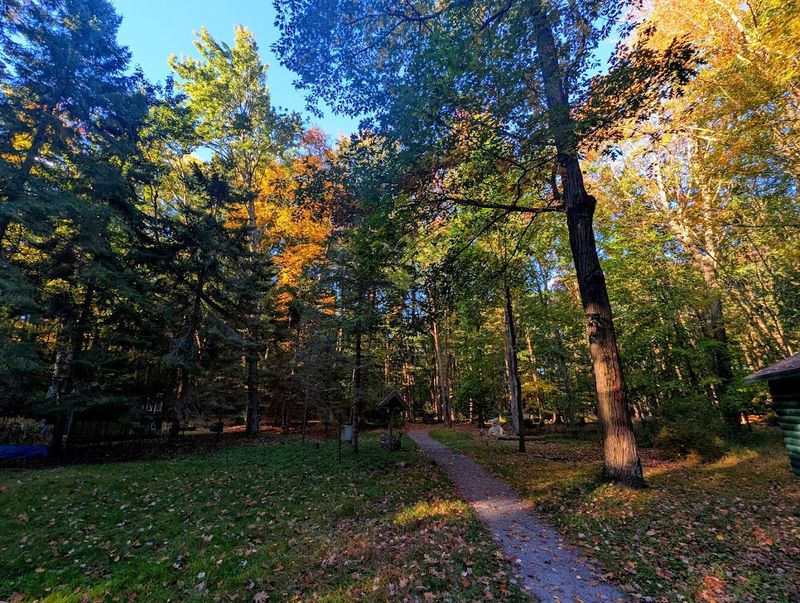 Layout That Encourages Slow, Exploratory Walks