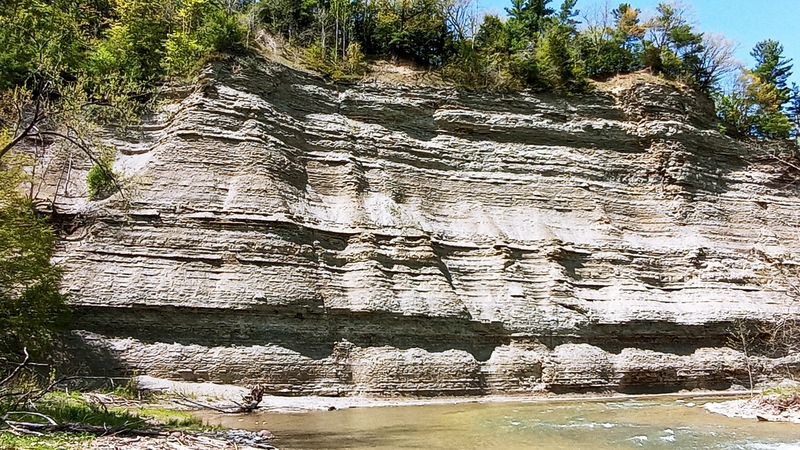 Zoar Valley Unique Area