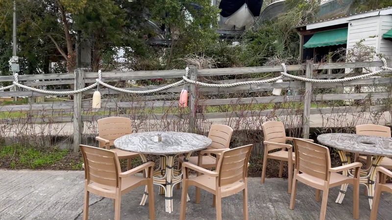 Sustainability Efforts In Seafood Harvesting