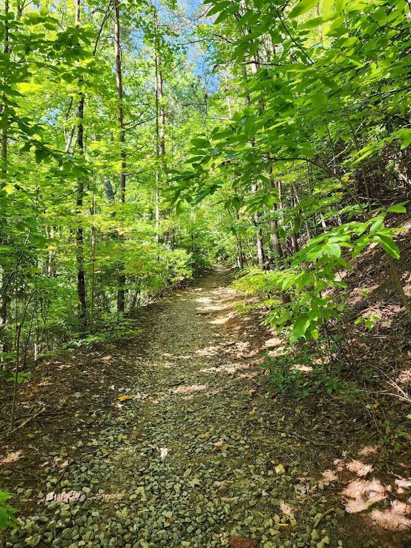 Abundant Hiking Trails For All Skill Levels