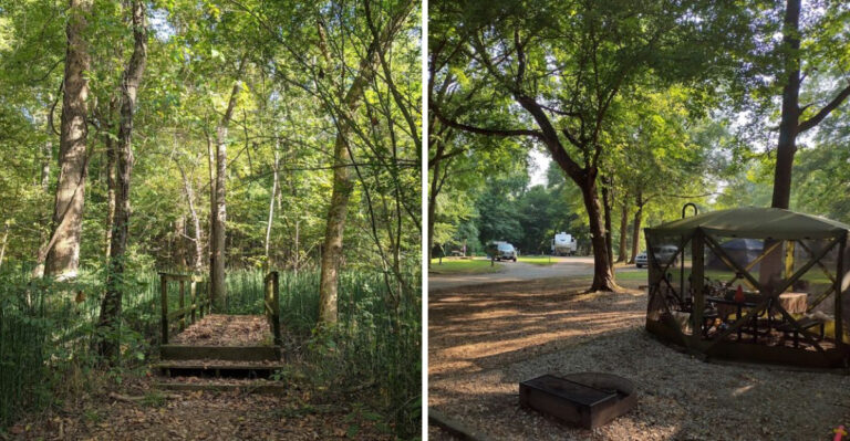 Locals Are Keeping This Beautiful State Park In Tennessee All To Themselves
