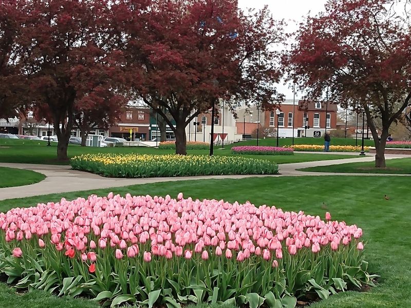 A Small Town With Big Appeal For Retirees