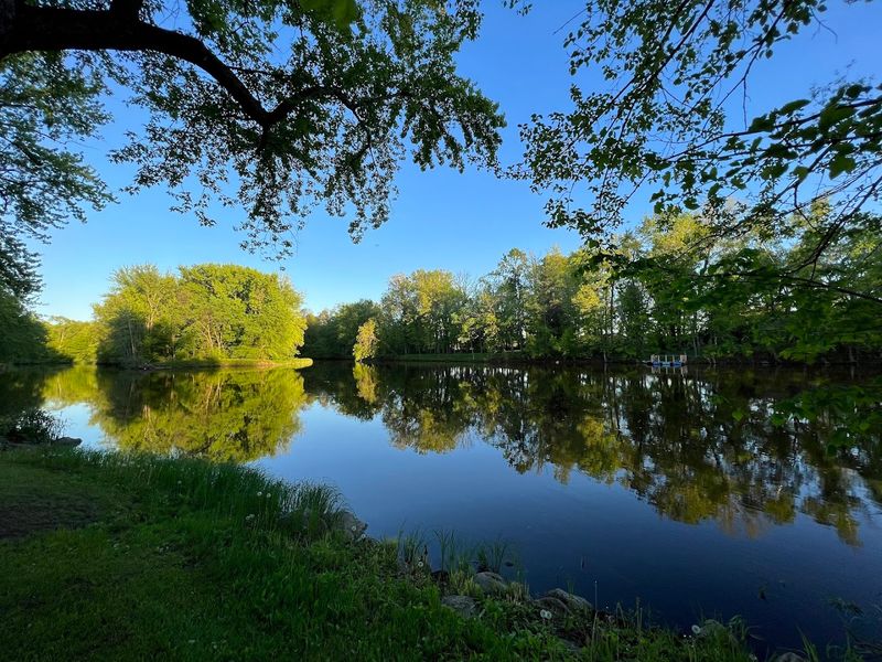 Natural Setting With Trees, Wildlife, And Open Views