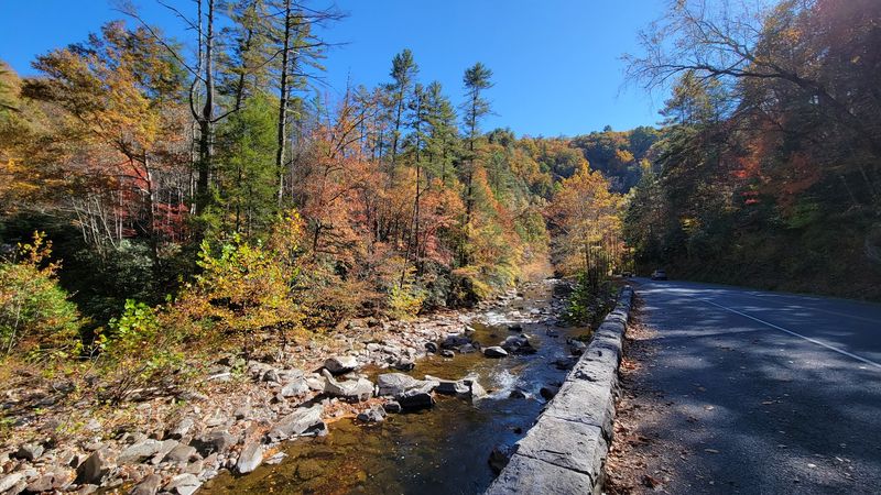 Wildlife Sightings Along This Road Happen More Often Than Most Visitors Expect