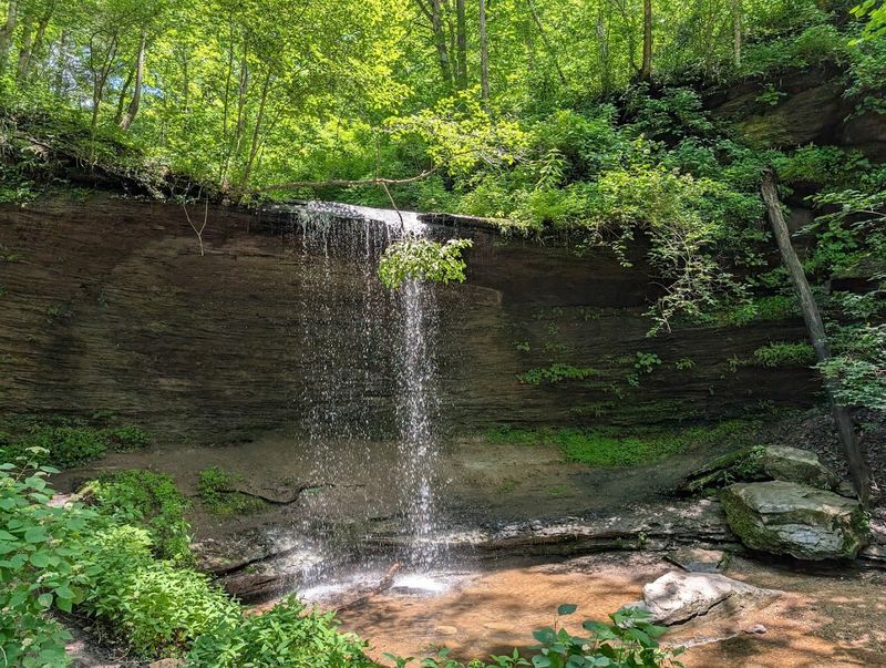 Fall Hollow Falls, Hohenwald