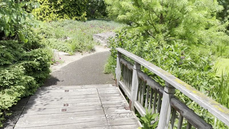 Garden That Balances Natural Beauty With Thoughtful Design