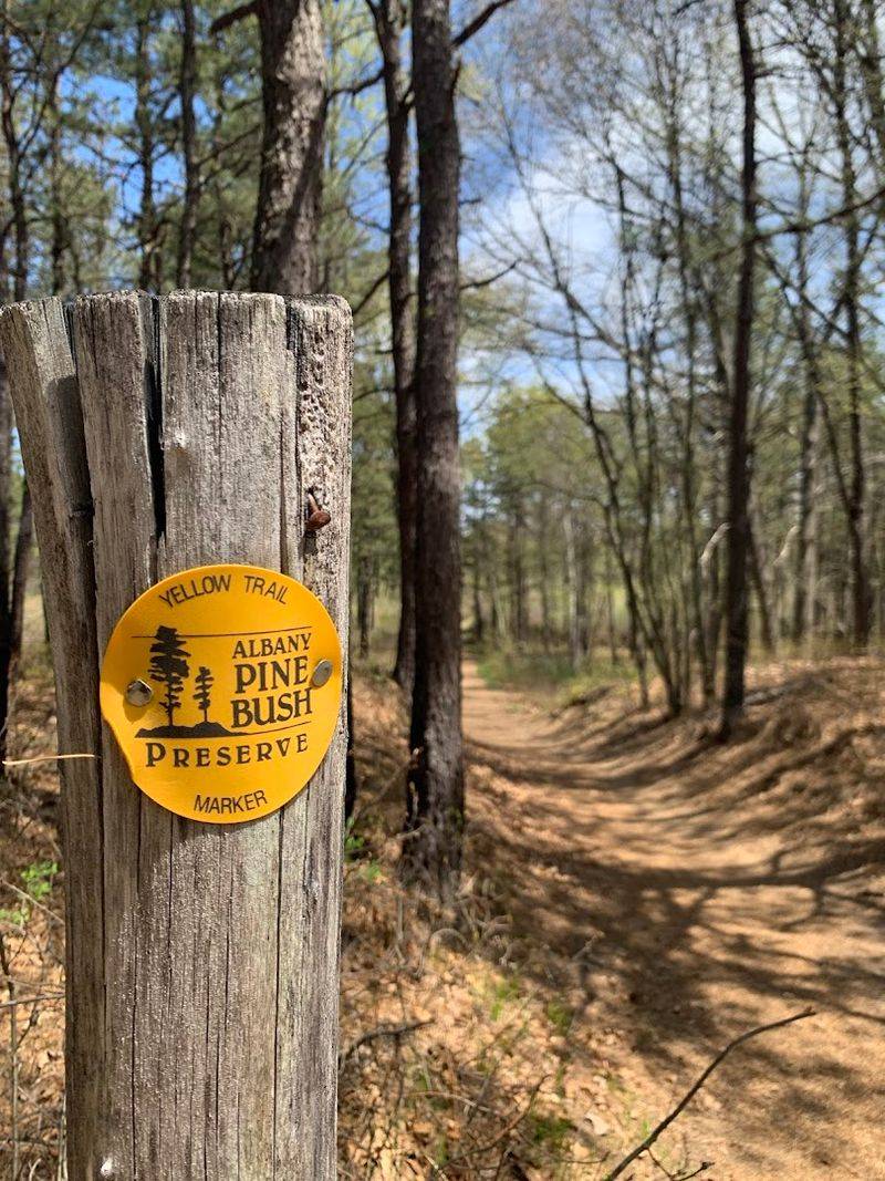 Albany Pine Bush Preserve