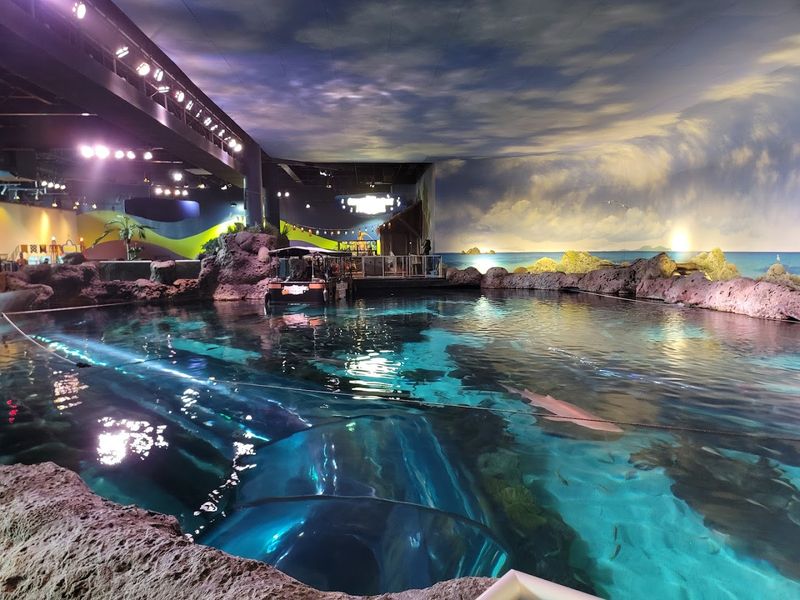 Ripley's Aquarium Of The Smokies, Gatlinburg