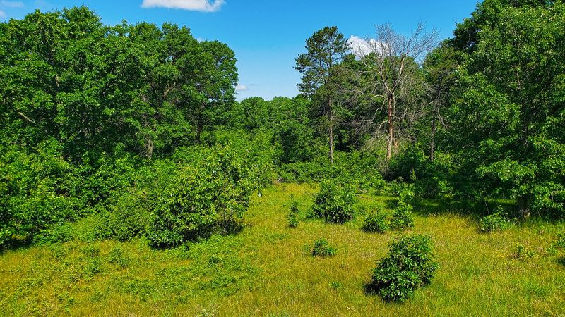 The Park Is Known For Its Unique Sand Prairie Landscape