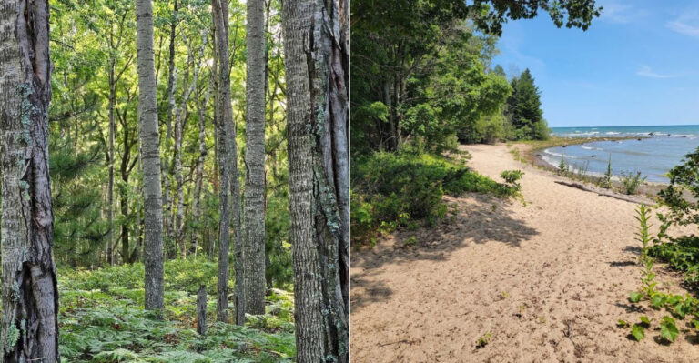 Many Michigan Residents Have Never Heard Of This 3,400-Acre State Park