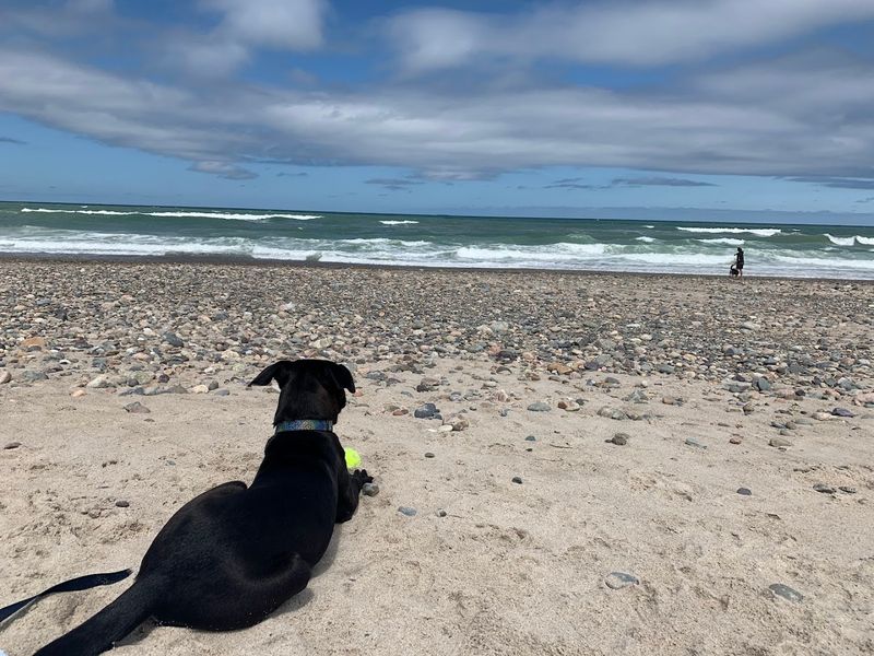 Rexhame Beach, Marshfield