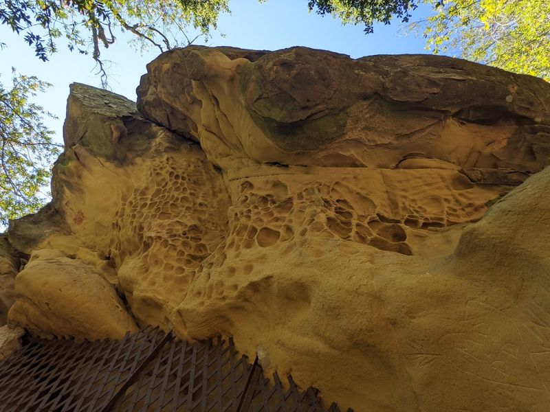 The Role Of Waves In Shaping Shores