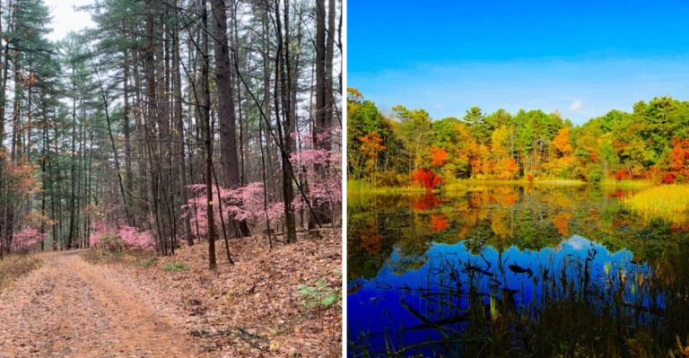 Massachusetts Hikes You Should Try This Spring That Deliver Huge Rewards For The Shortest Miles
