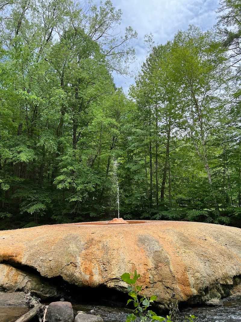 Saratoga Spa State Park: The Natural Setting That Surrounds It All