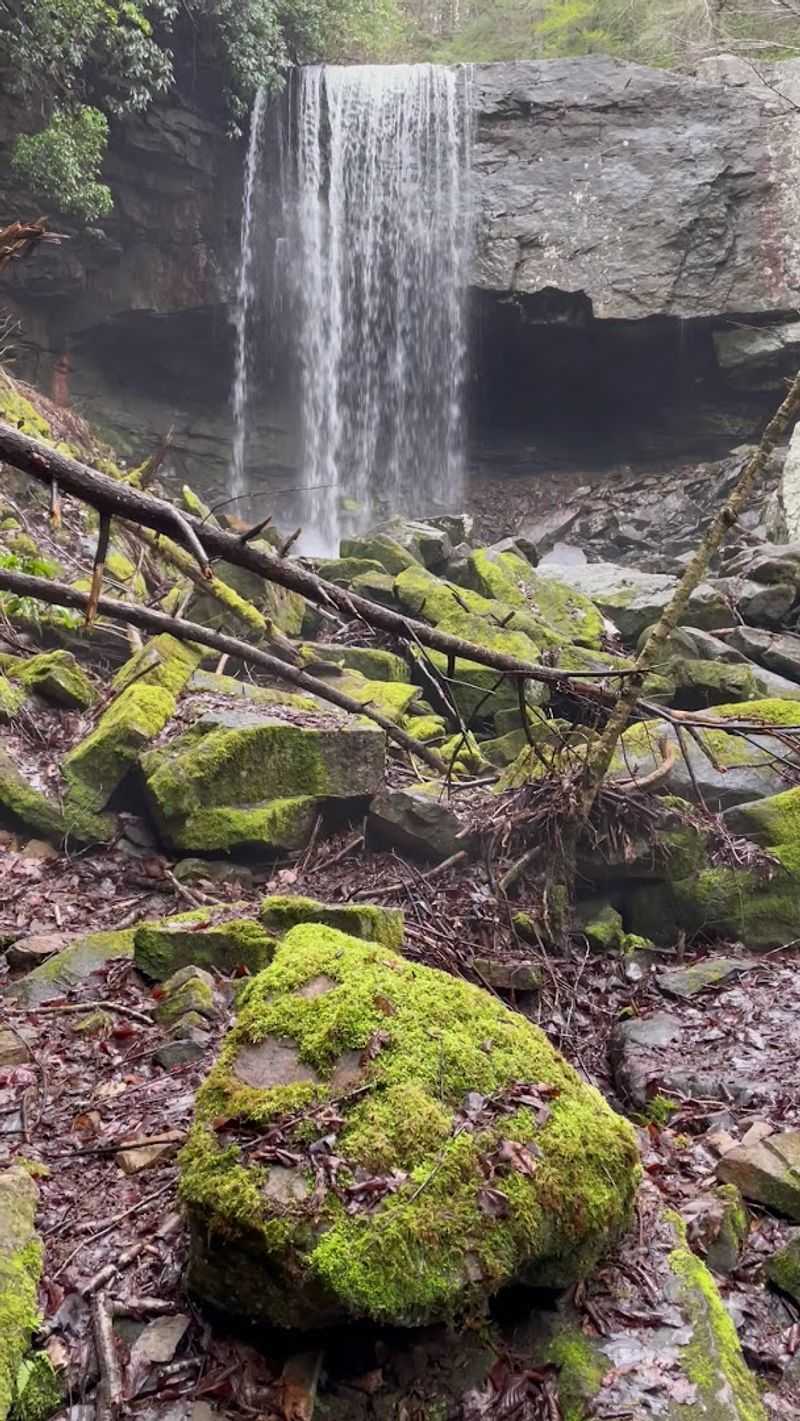 Savage Gulf State Park, Gruetli-Laager