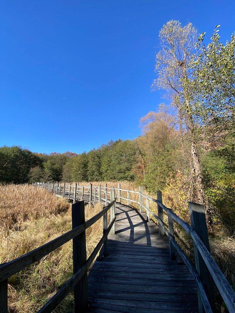 A Mix Of Prairies, Woodlands, And Wetlands In One Place