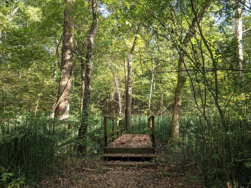 Birdwatching Here Will Surprise Even Seasoned Observers