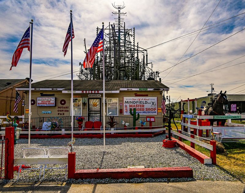 The Mindfield, Brownsville