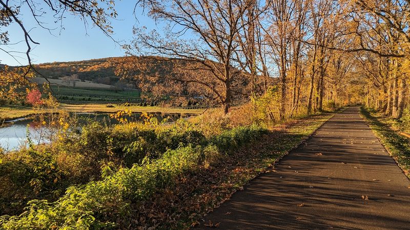 The Woodlands And Wetlands That Frame Every Mile Of The Journey