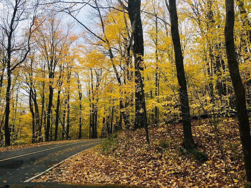 October Mountain State Forest, Lee