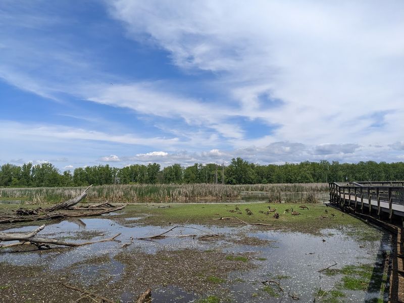 Niagara Falls State Park And Tifft Nature Preserve