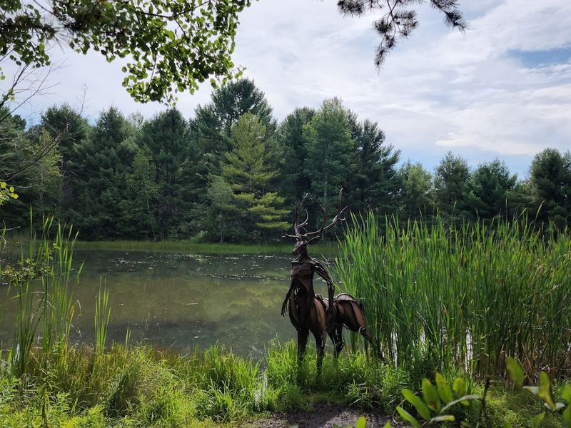 A Trail That Turns Into An Open-Air Gallery