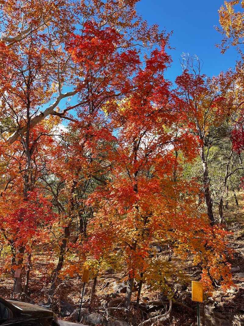 The Natural Setting That Makes Every Visit Feel Like A Reward