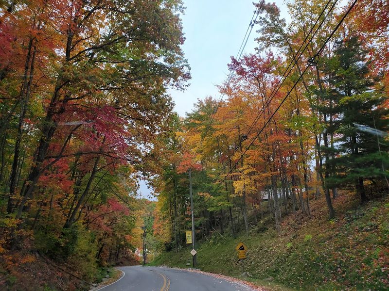 Fall Color Season Turns This Drive Into Something Genuinely Unforgettable