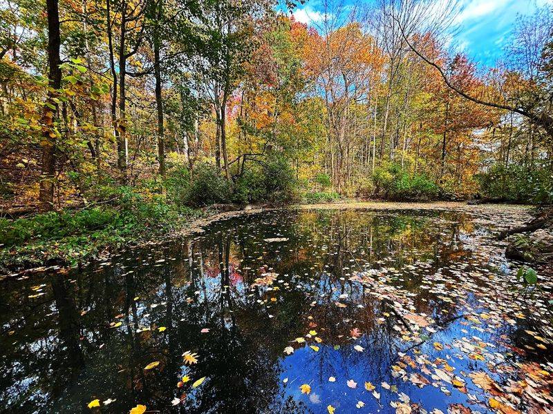 The Loch, Central Park North Woods