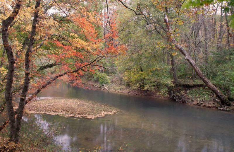 Cherokee Arboretum At Audubon Acres, Chattanooga