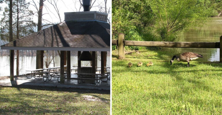 Most People Don’t Know About This Beautiful Waterfront State Park In Tennessee