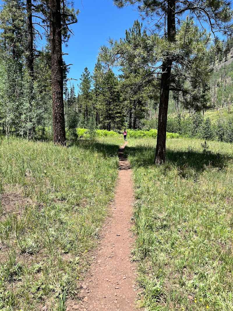Scenic Hiking Trails And Wildlife Watching