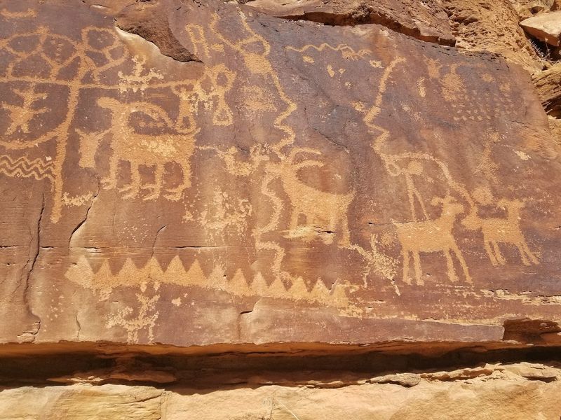 The World's Longest Art Gallery Hidden In Plain Sight