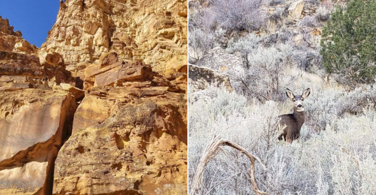 Most Visitors Drive Right Past This Stunning Canyon In Utah