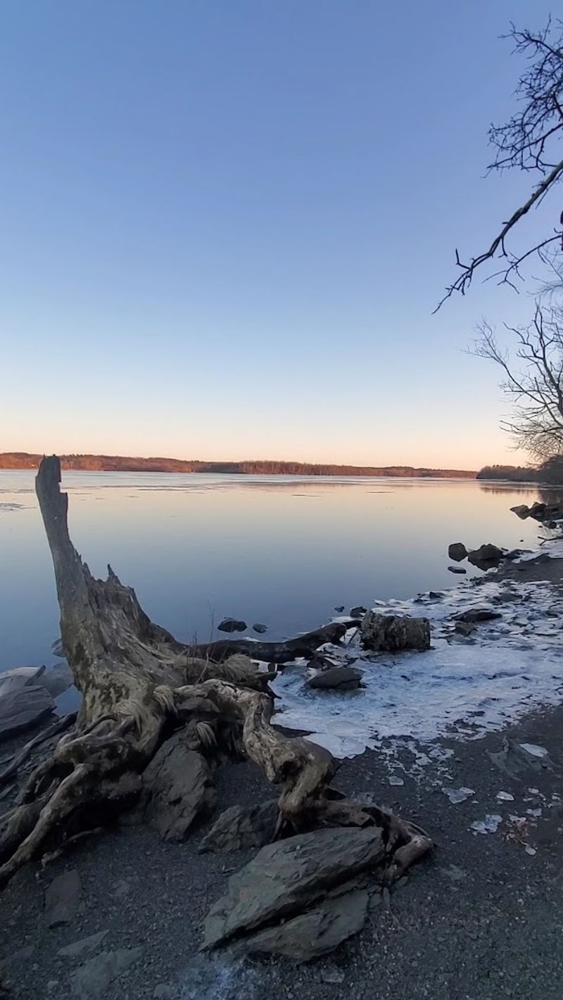 Four Mile Point Preserve