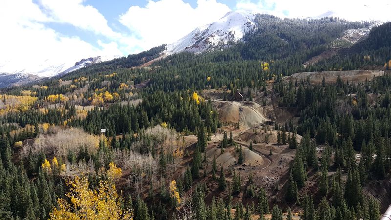 Wildlife Encounters Along The Way