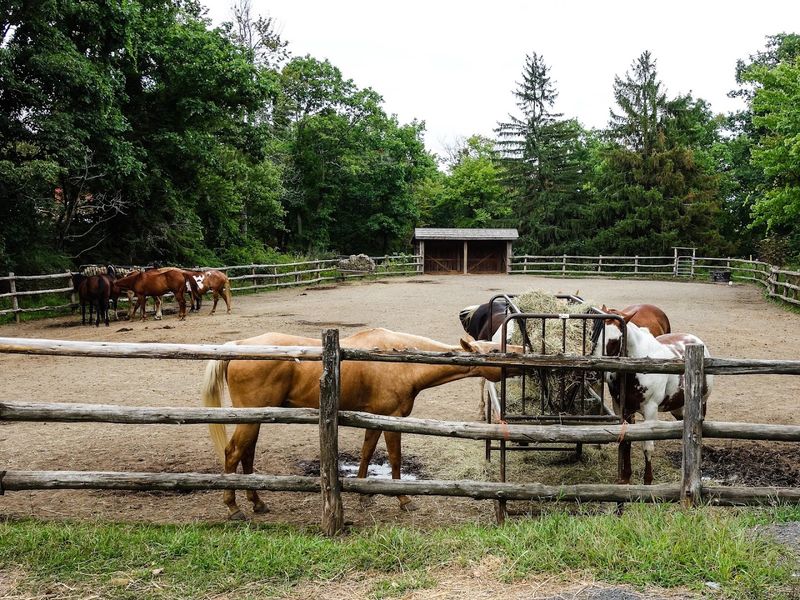 Mohonk Mountain House Stables
