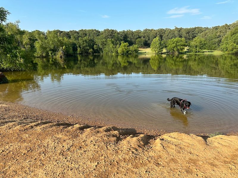 The Canine Wash Station That Saves Your Car Interior
