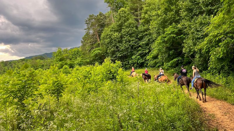 Davy Crockett Riding Stables, Townsend