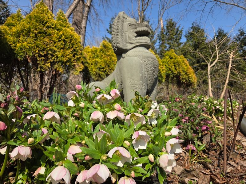 Olbrich Botanical Gardens (Madison)