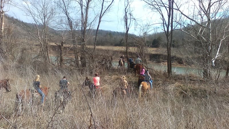 Wildlife Watching Opportunities And Best Spots