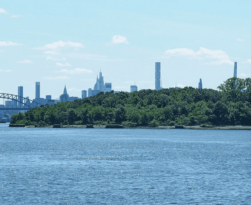 A Protected Bird Sanctuary In The Heart Of The City