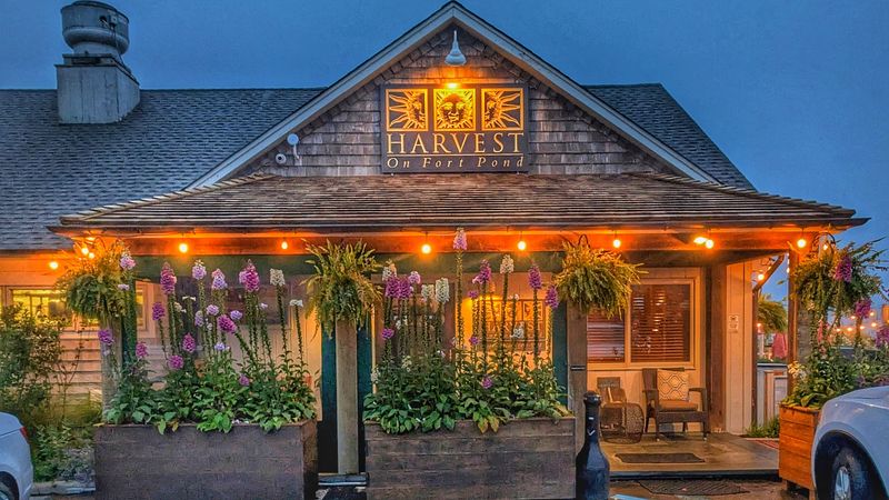 Harvest On Fort Pond