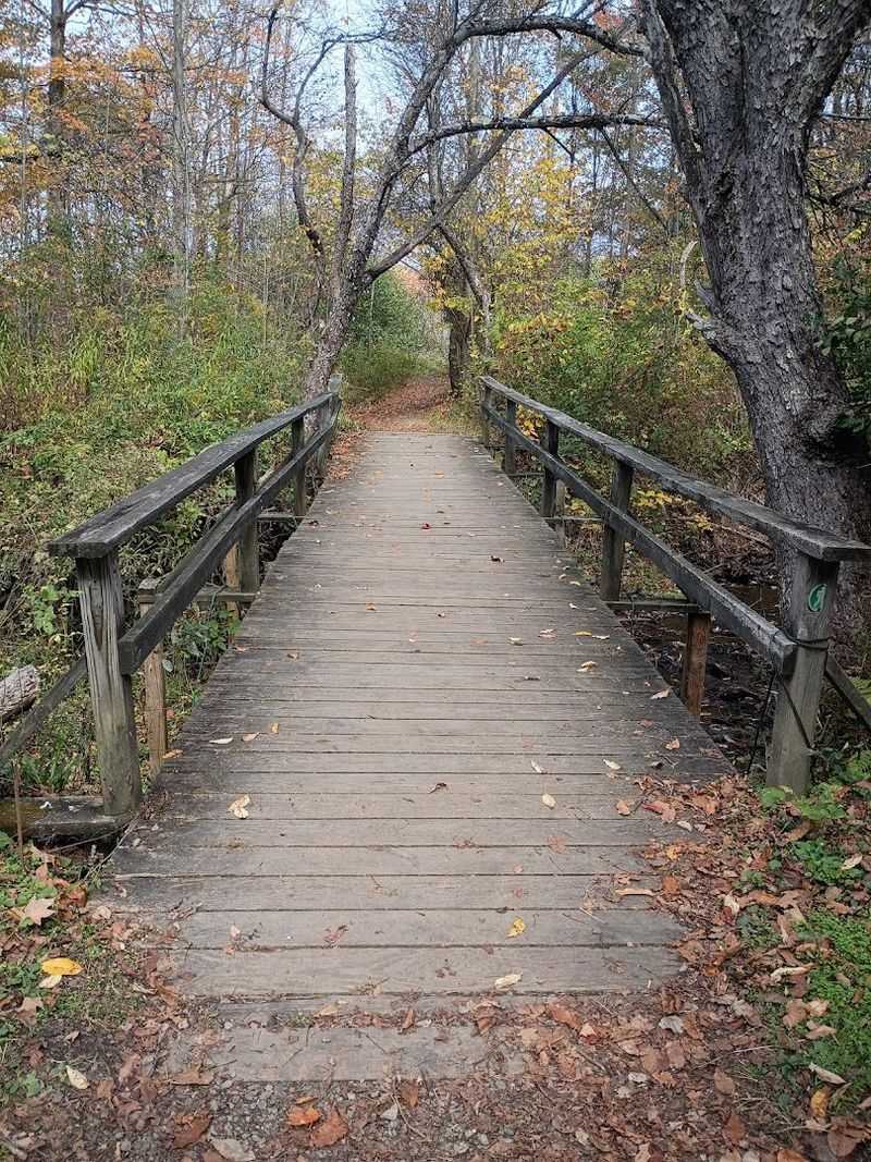 Trails, Terrain, And Tips For A Great Visit