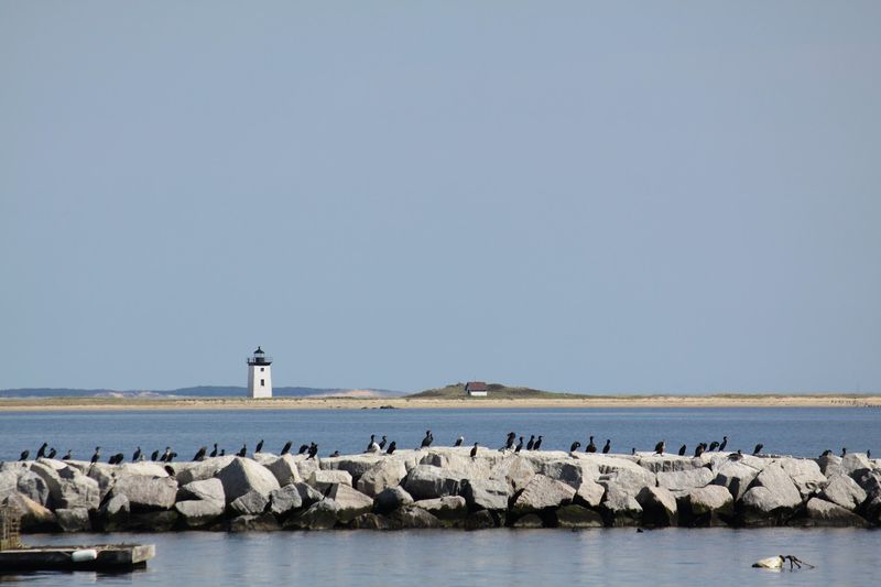 Long Point Beach, Provincetown
