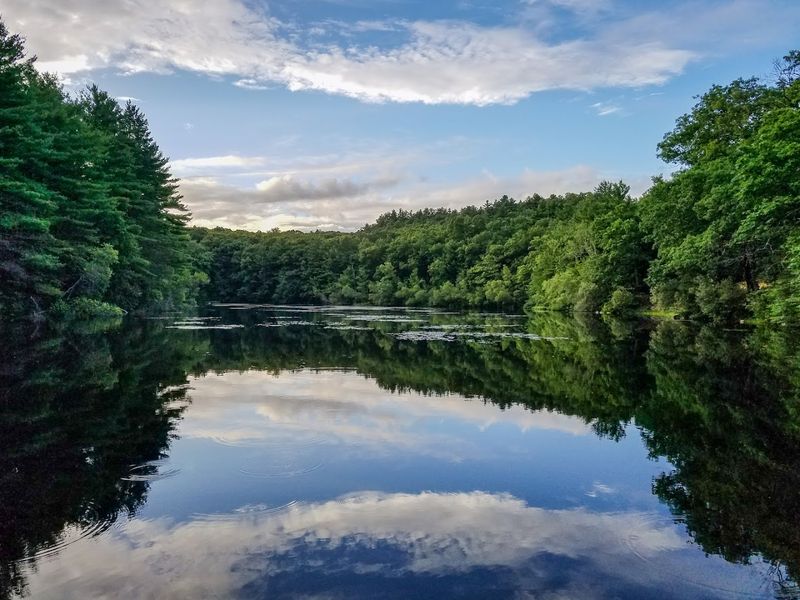 Rocky Woods Reservation, Medfield